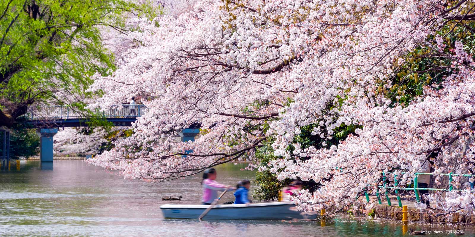 Image Photo : 武蔵関公園
